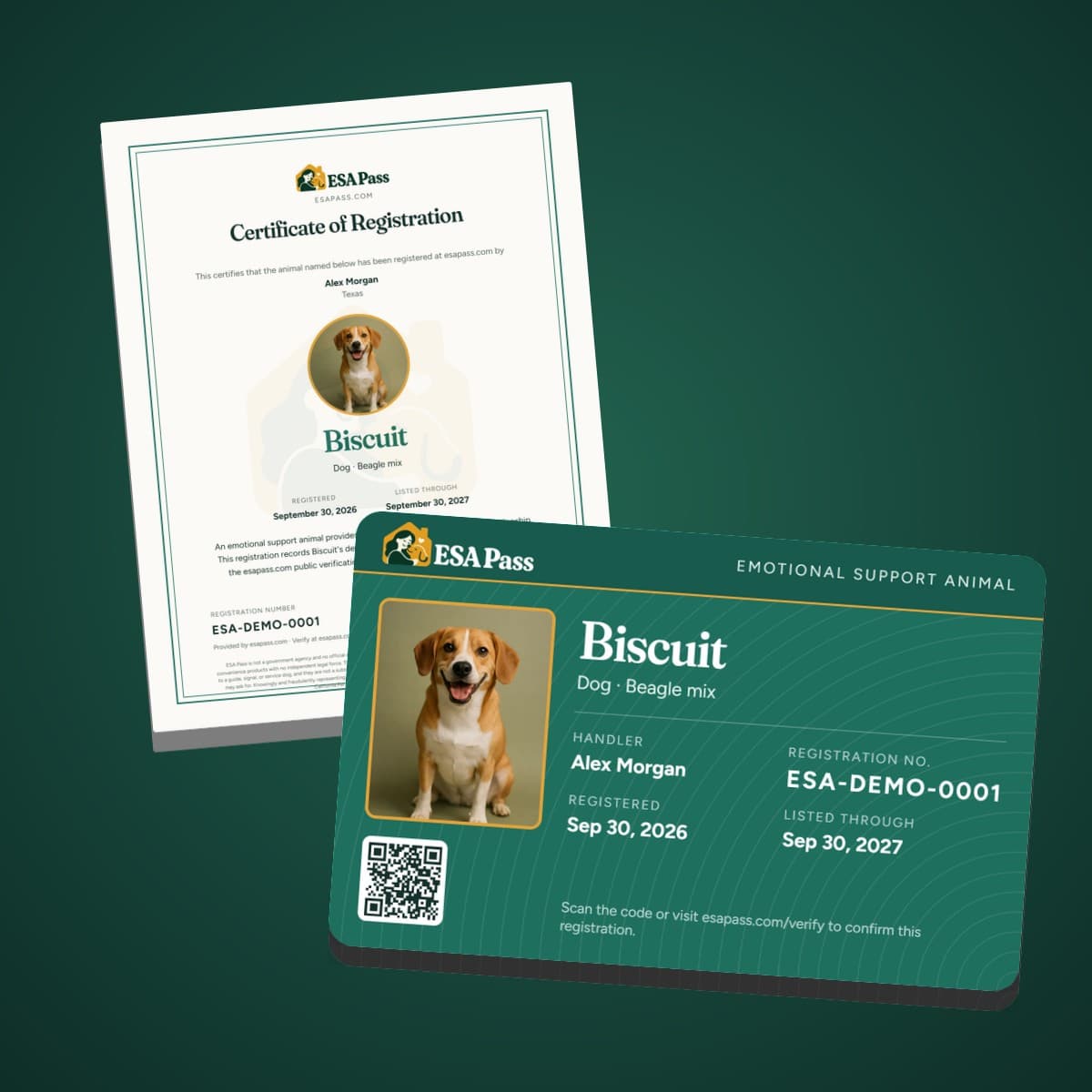 The wallet card and the Certificate of Registration with a beagle's photo